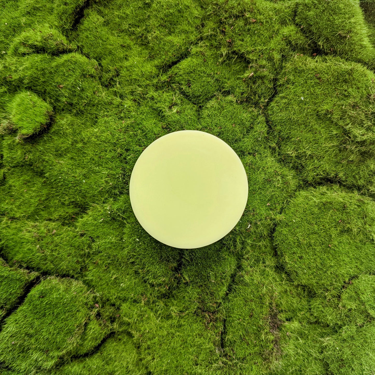 Cucumber & Aloe Vera Lotion Bar