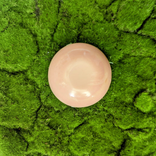 Champagne Lotion Bar
