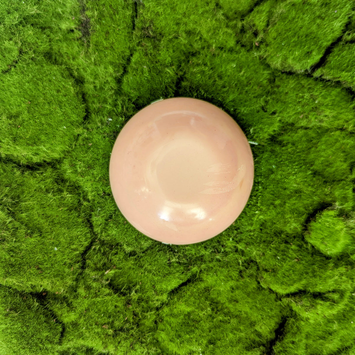 Champagne Lotion Bar